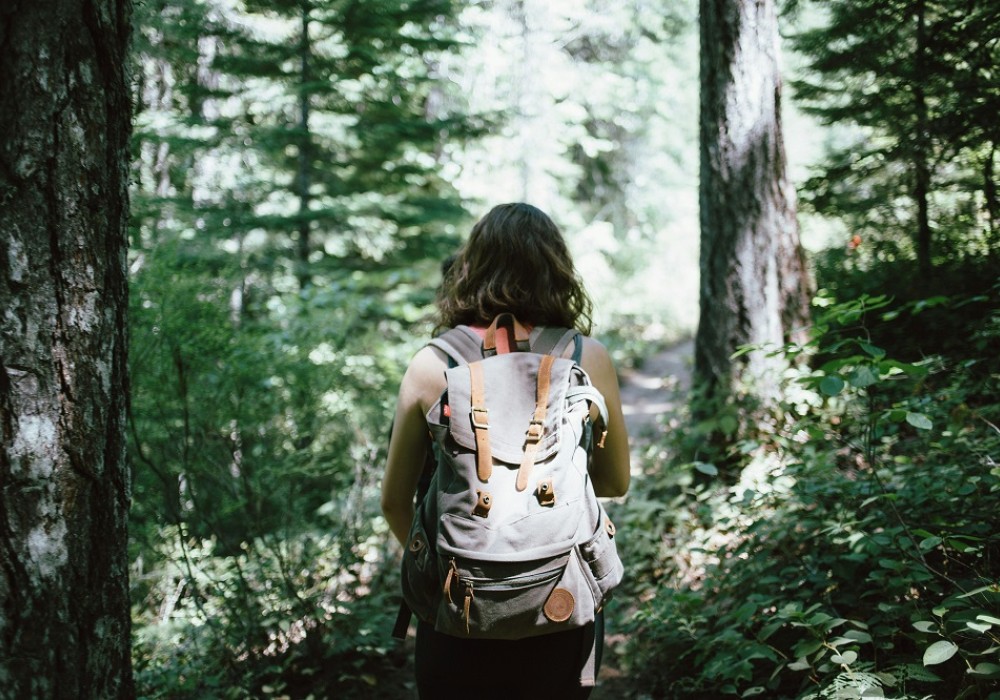 Frau mit Rucksack macht eine Wanderung durch den Wald 